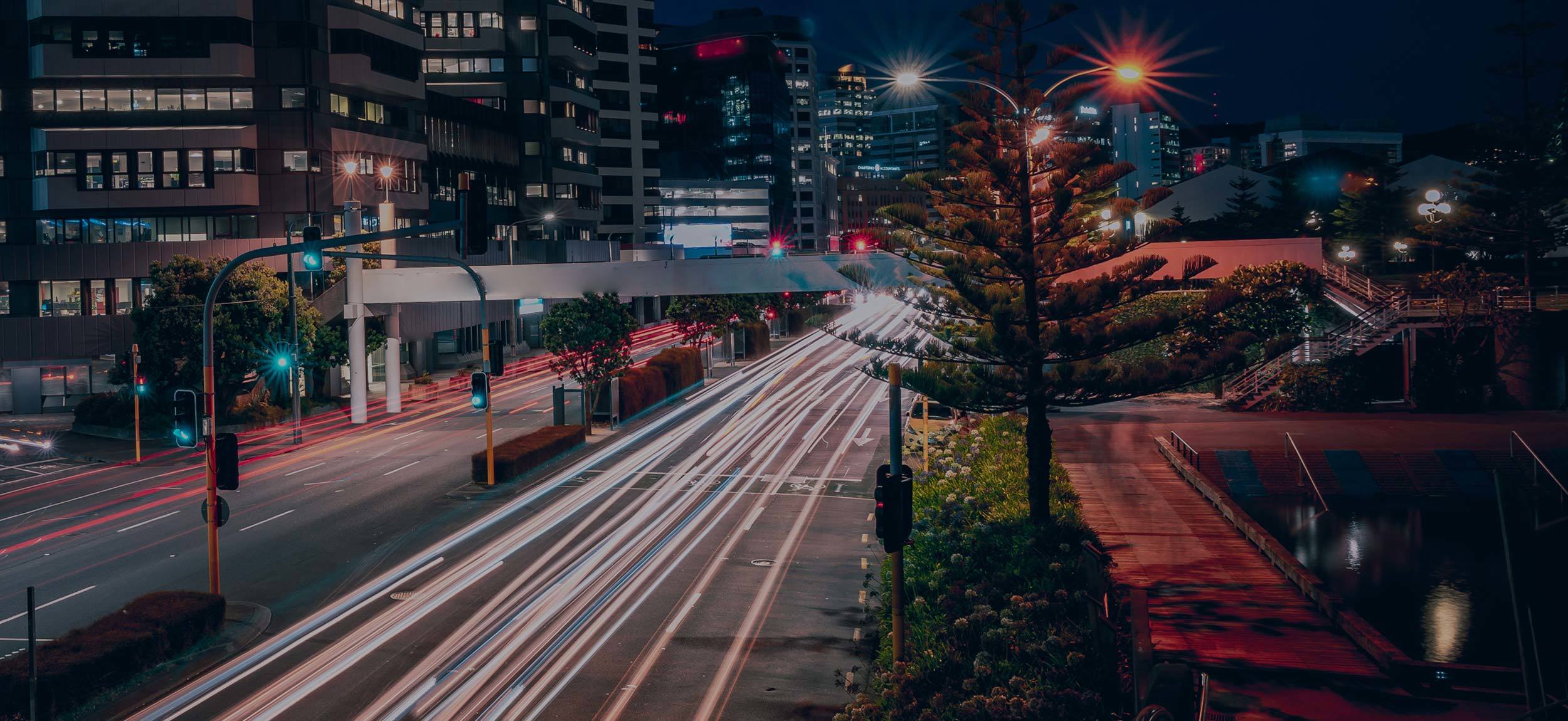 CIO Roadmap Wellington - Business Transformation Roadmap